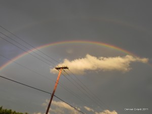 On se demande ce qui est le plus électrique à regarder...