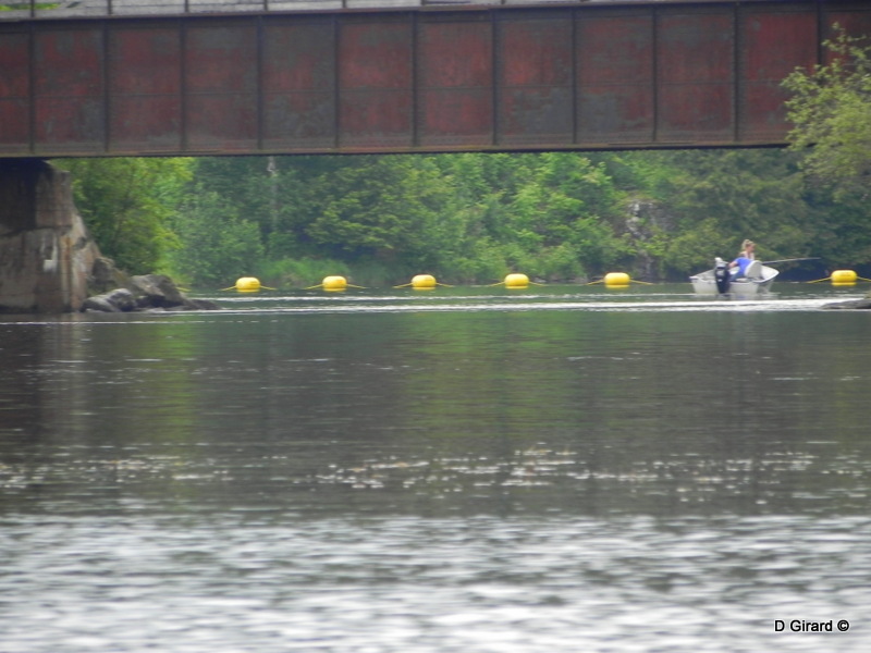 Pêcher n'est pas pécher...