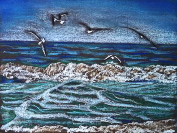 Mouettes à Claudine Sales