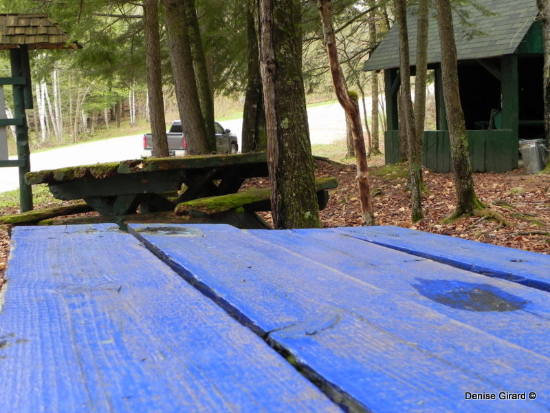 tsé quans le pick-up fuck la photo.