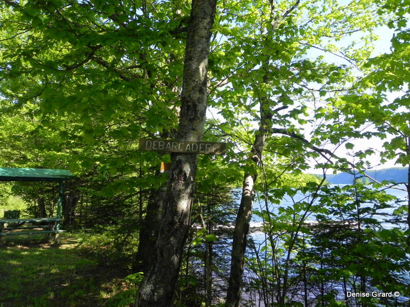 reporter ailleurs 008