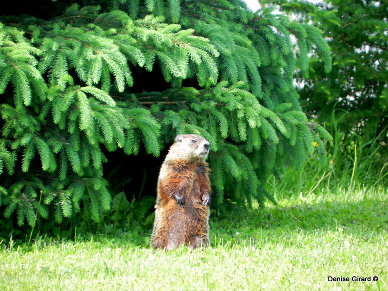 reporter ailleurs 349