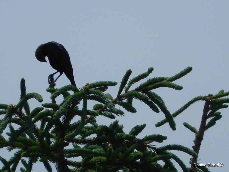 regarde les fleurs un peu plus bas