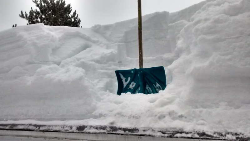 IMG_20190314_104202486_HDR