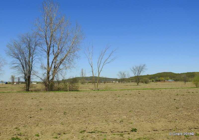 champ terre route désert